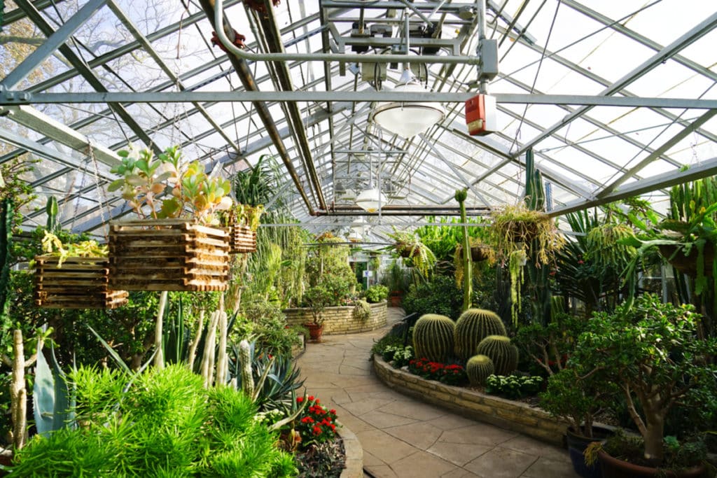 There’s A Victorian-Era Indoor Botanical Garden In Toronto That’s Perfect To Visit In Spring
