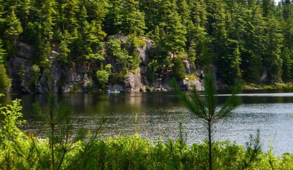 This Provincial Park Only A Few Hours From Toronto Is Getting A Renovation