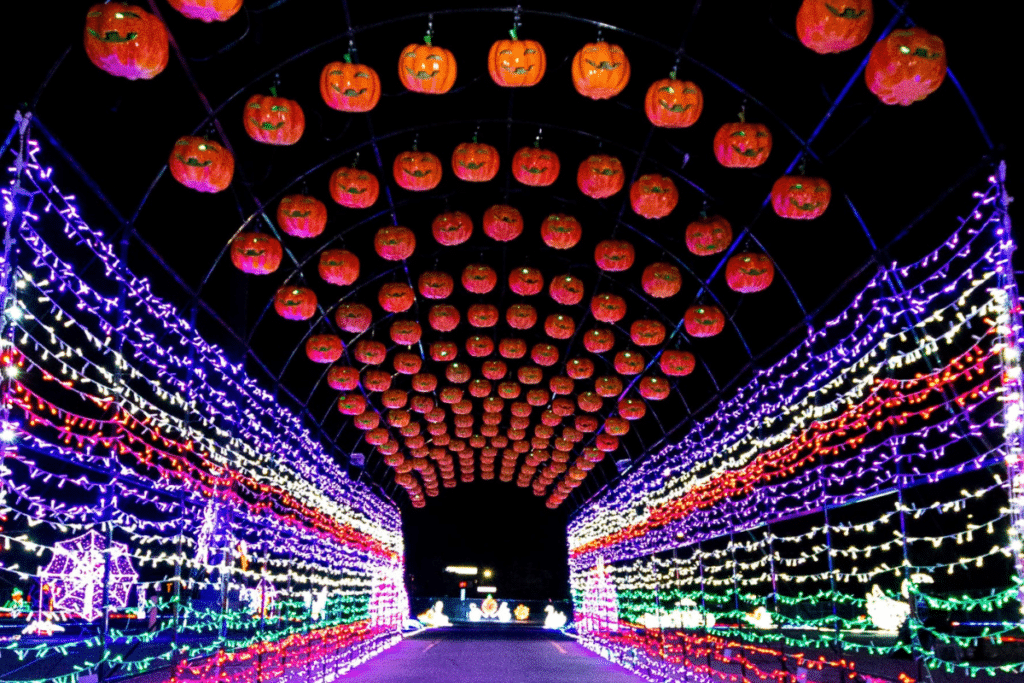 Illuminate Your Spooky Season With This Halloween Drive-Thru Light Show