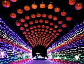 9 Events You Won’t Want To Miss This Halloween In Toronto