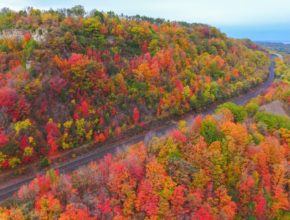 7 Gorgeous Places To See Fall Leaves In Ontario